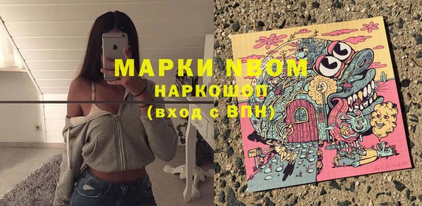 шишки Алексеевка