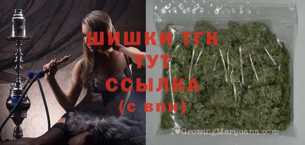гидра Алексин