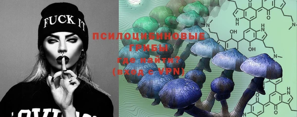гидра Алексин